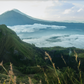 Bali kintamani region beautiful coffee picture